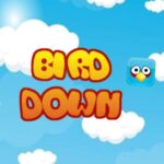 BirdDown